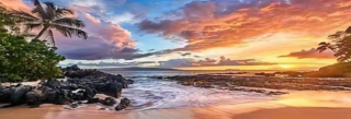 Diamond Painting Meer Strand Palmen